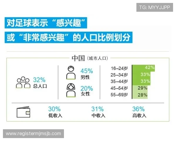 中国进入世界杯对国内足球产业带来的深远影响分析