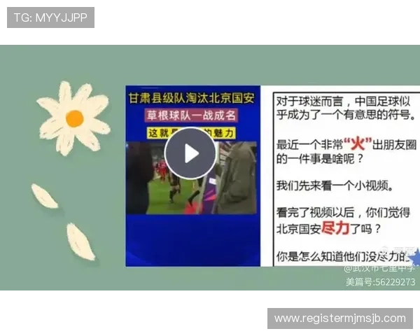 深入探讨世界杯各州名额分配原则背后的公平性与合理性